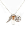 Angel Wing Pentagram and Salt Bottle Necklace